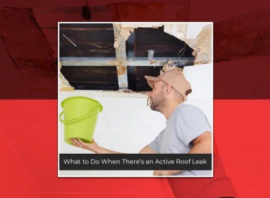 What to Do When There’s an Active Roof Leak